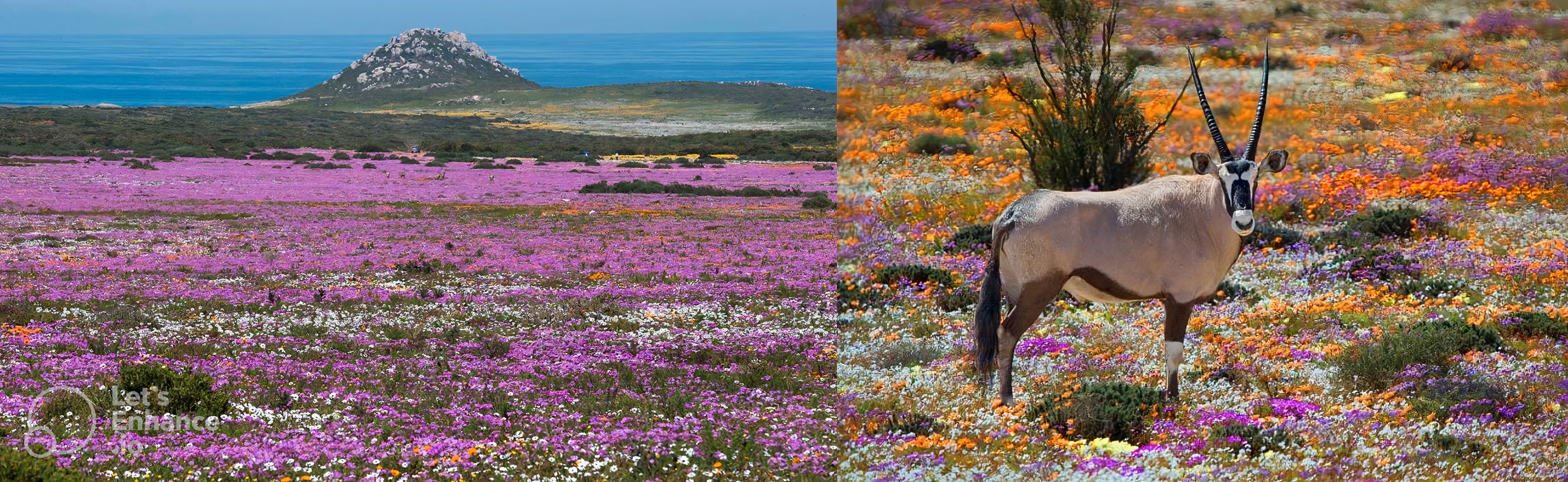 West Coast and Namaqualand West Coast and Namaqualand